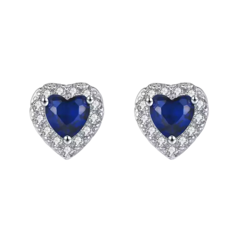 S925 Sterling Silver Earrings