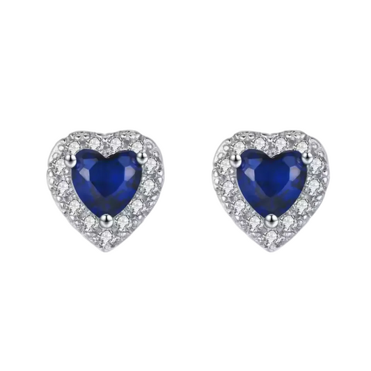 S925 Sterling Silver Earrings